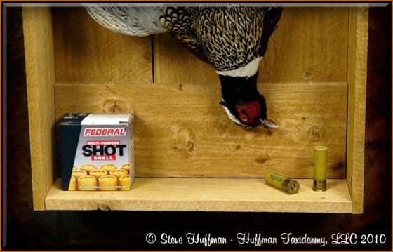 Dead Game Ringneck Pheasant Chukar Partridge Taxidermy Mount Shadow Box