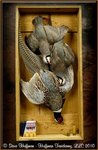 Dead Game Ringneck Pheasant Chukar Partridge Taxidermy Mount Shadow Box