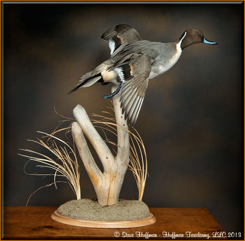 pintail table mounts