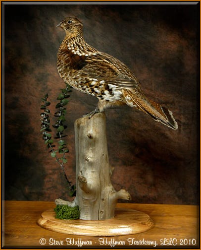 Ruffed Grouse Taxidermy Mount 